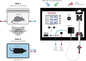 SomnoSuite system layout