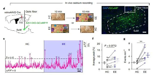 Nature Neuroscience